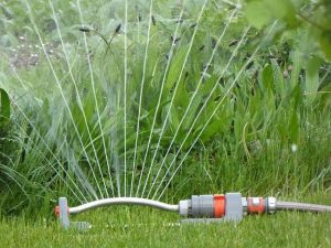 water sprinkler
