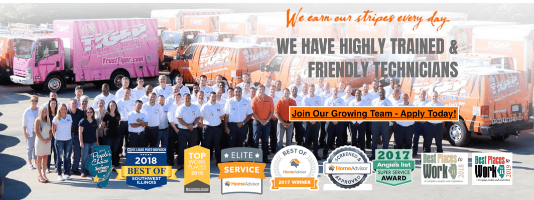 Tiger Careers