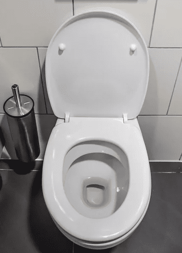 toilet clog