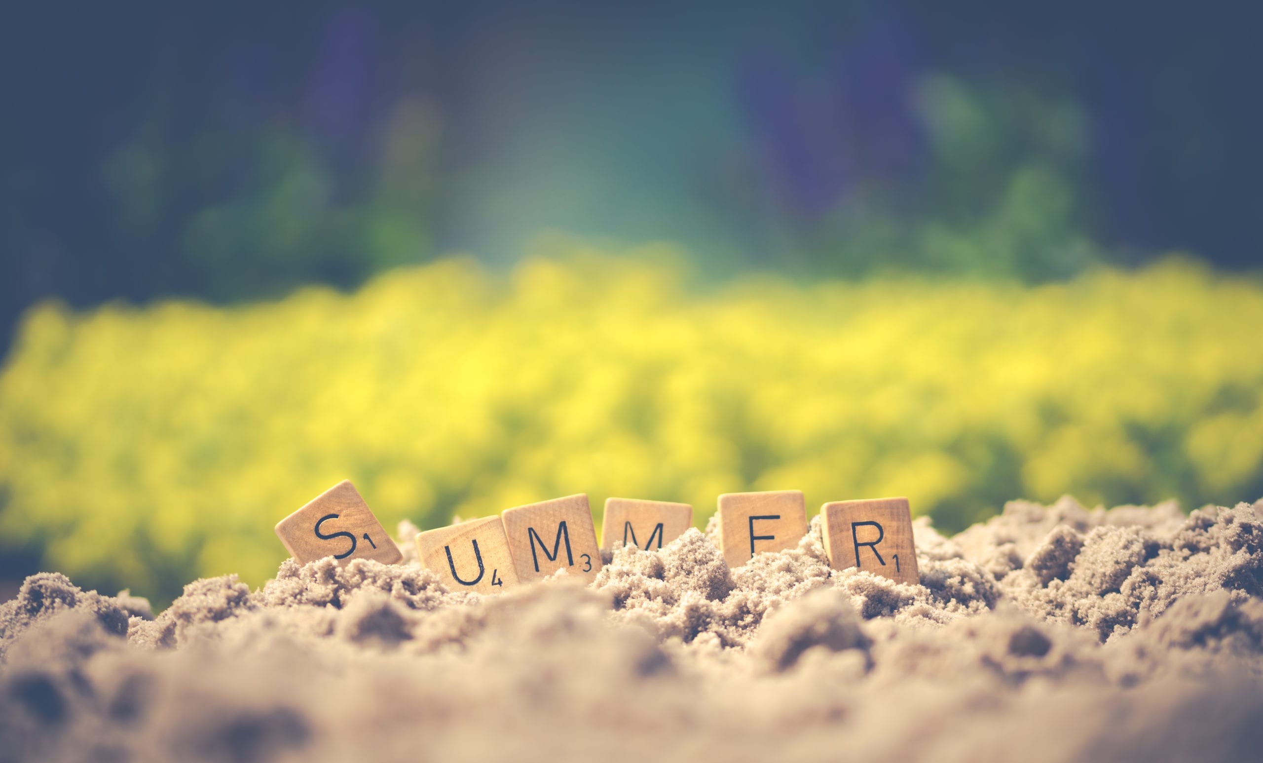preventing summer sewage backups